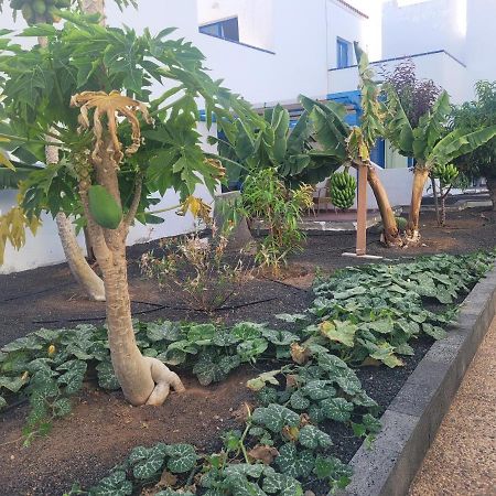 Nenita Apartment Caleta De Fuste Exterior photo